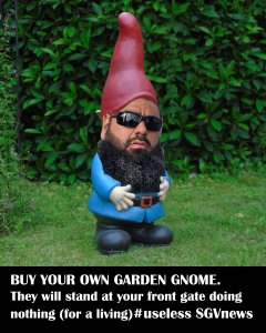 the gnome.jpg