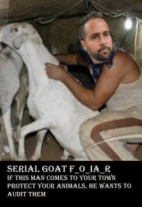 goat foiar.jpg