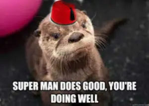 OtterFez.png